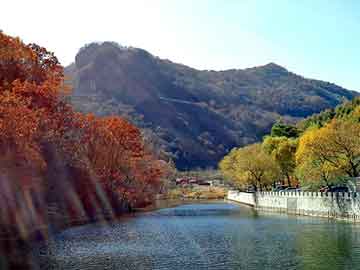 新澳天天开奖资料大全旅游团，点滴日记